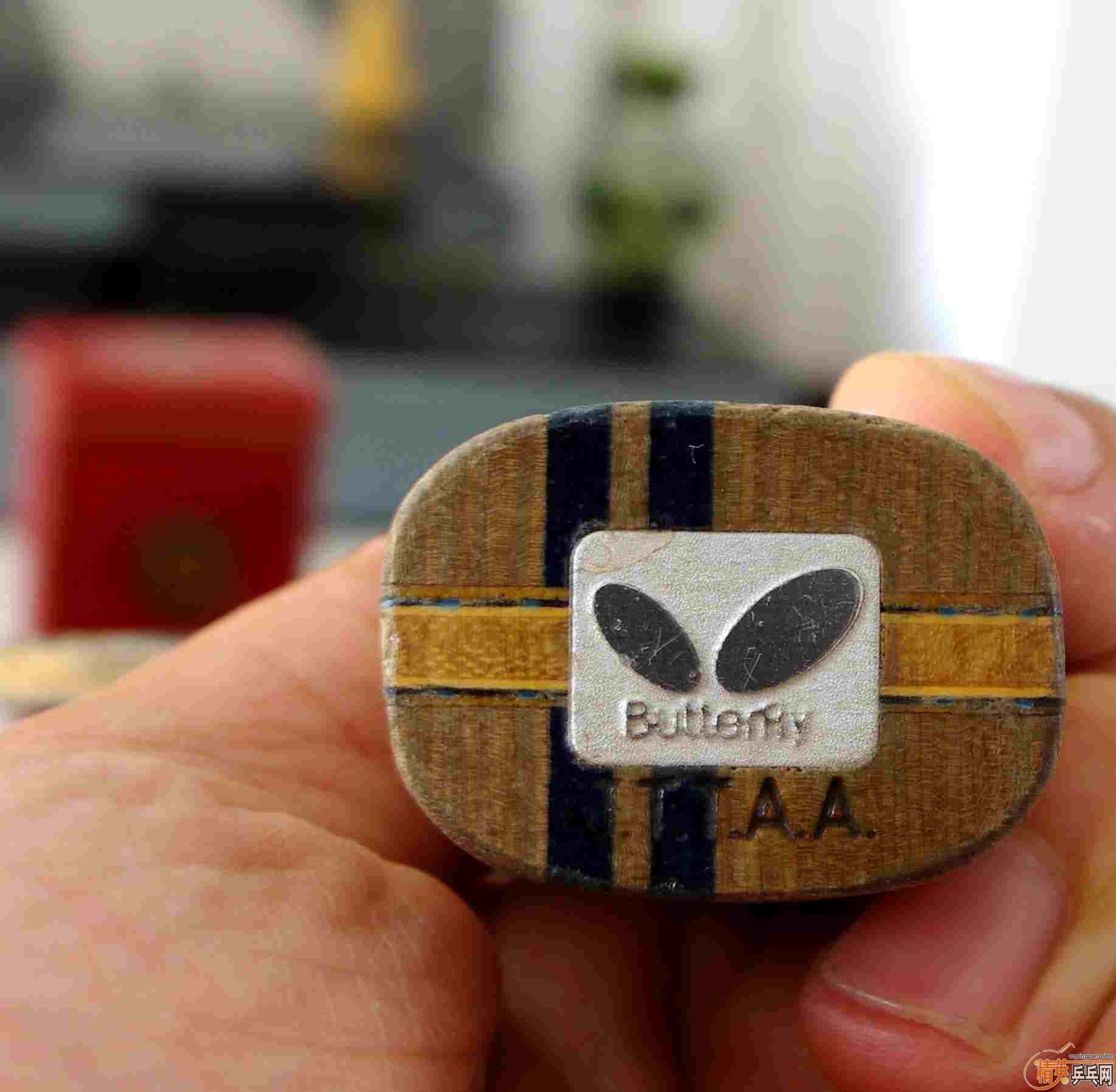 �Ʊ�����������