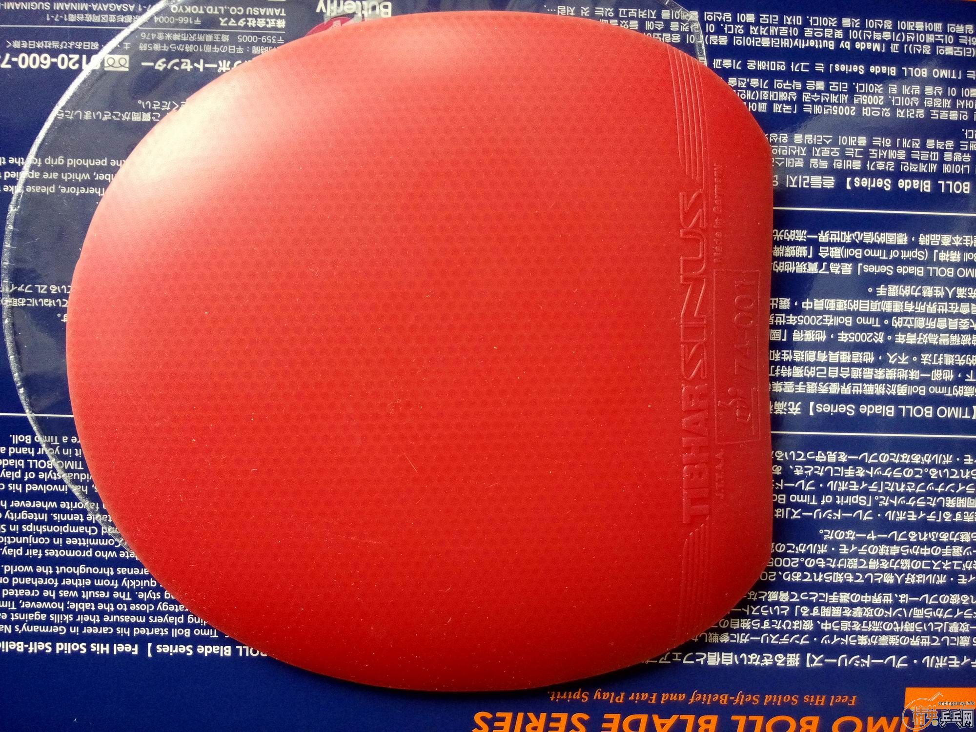 �ǳ������ĺ�������W5��ͦ��SINUS��