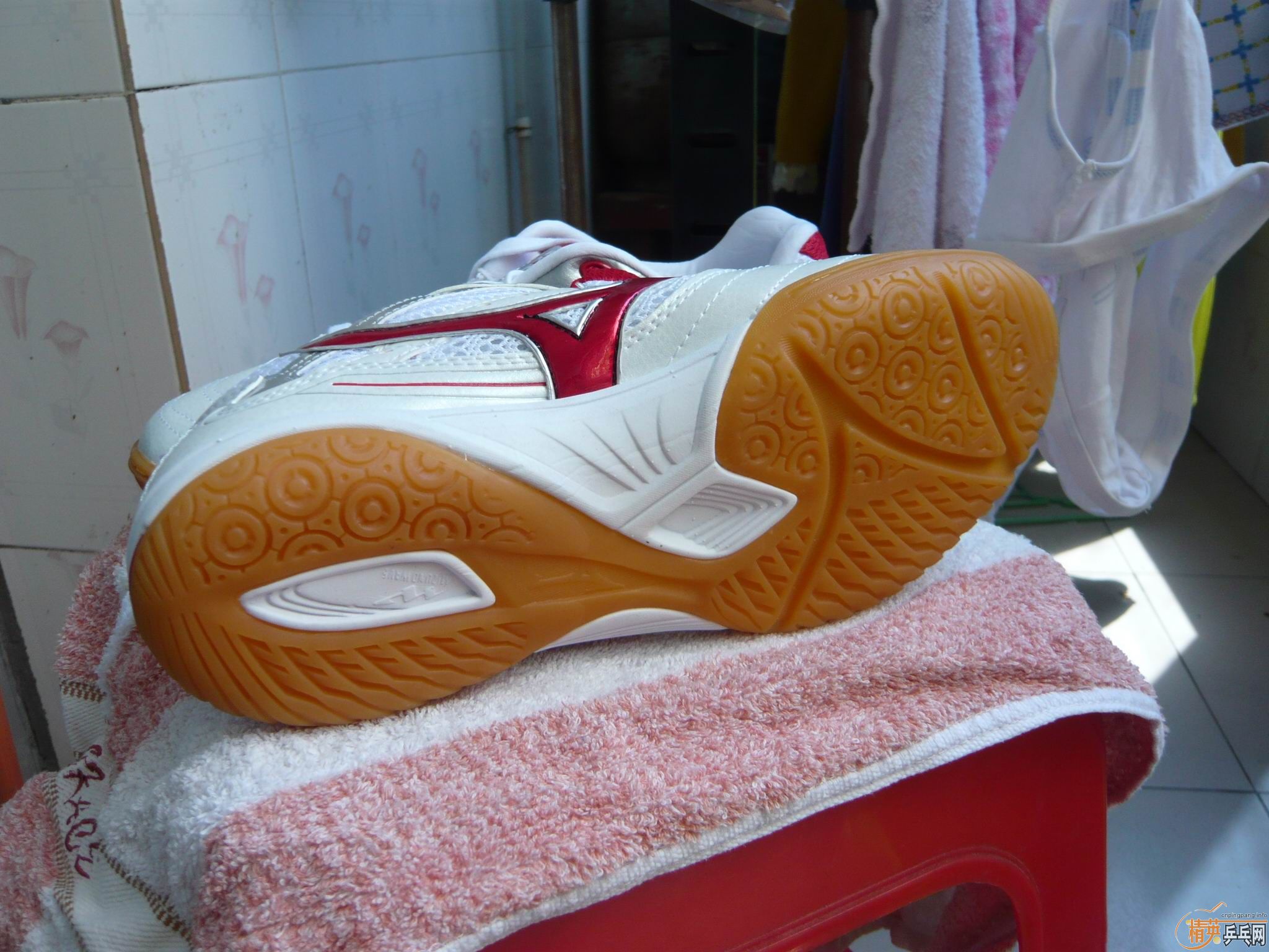 ��T05fx������Ũƹ����Ь