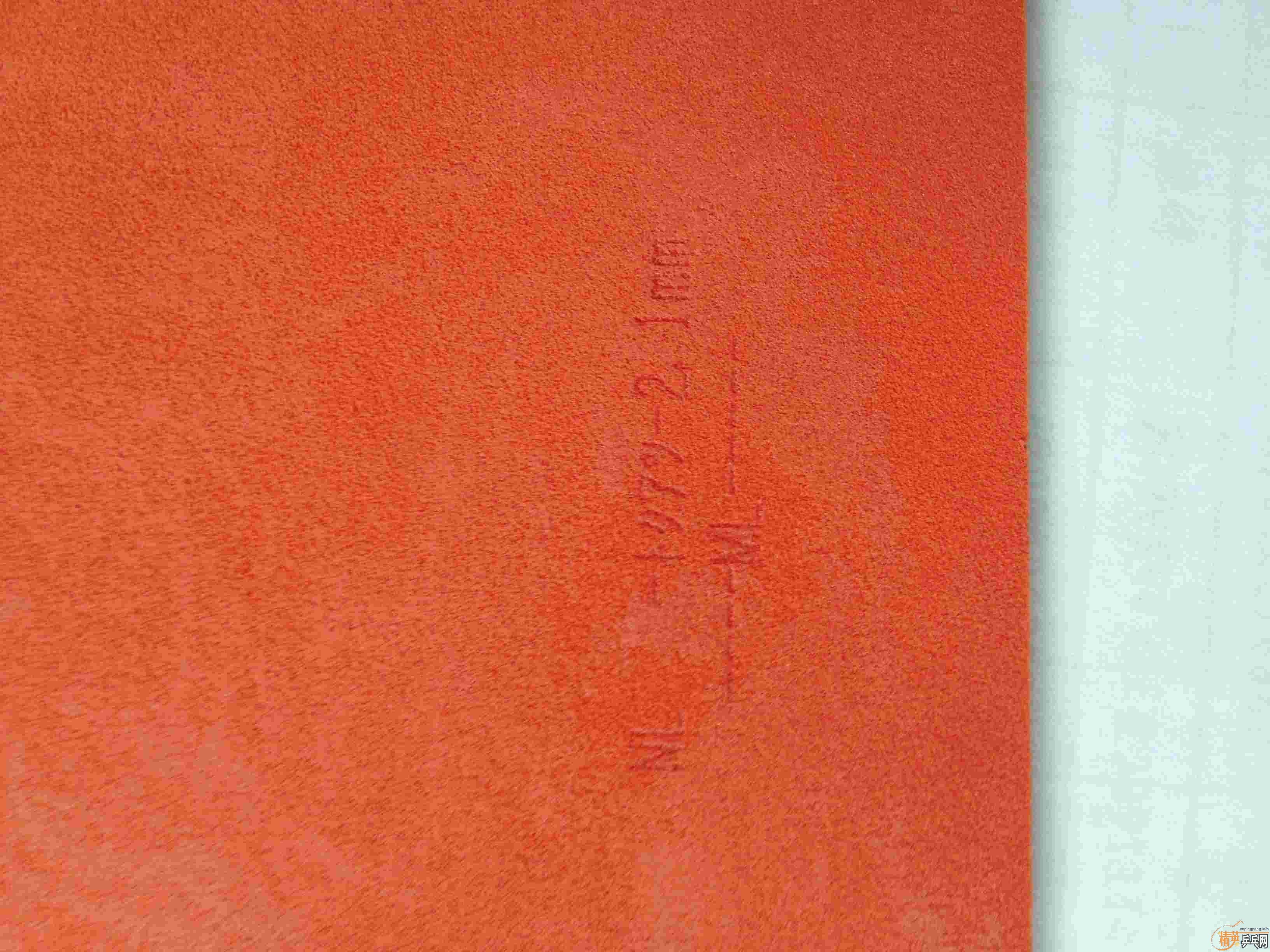 ������05�׽�