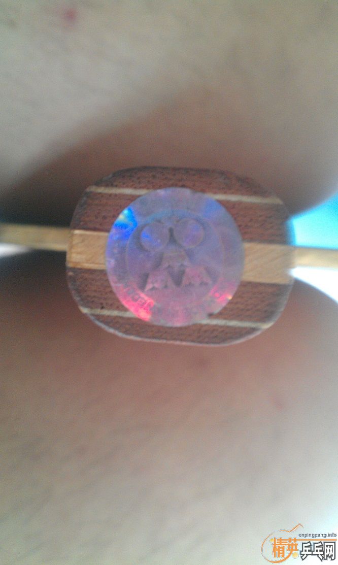 500���� �� stiga �л�õ��5