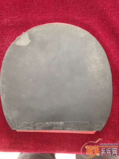 ����֧����ʵ�����ӣ��켫506��ͦ�α�����