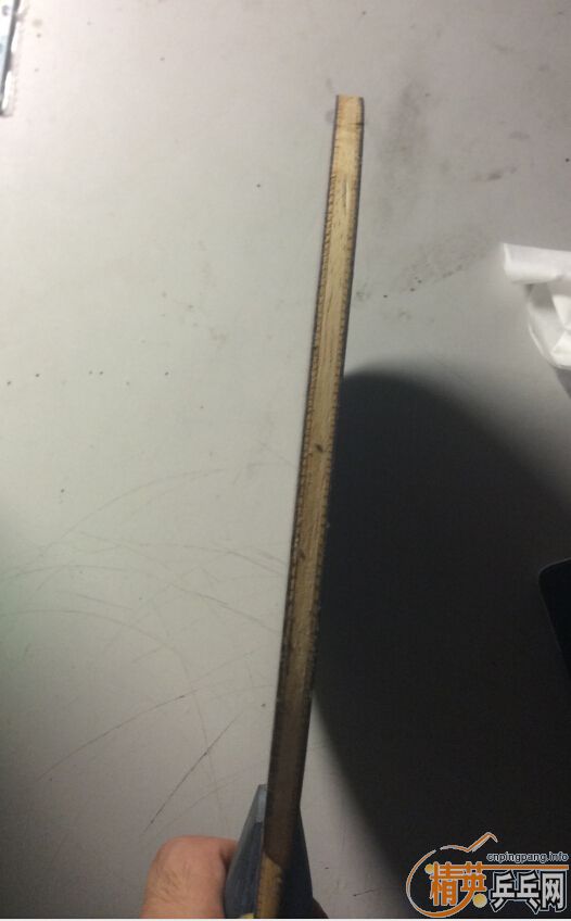 N656  ariex �а�  ����10.5  95��