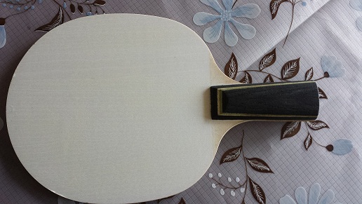 ���ų���ŷ��stiga ֱ������ ��ҿ�����