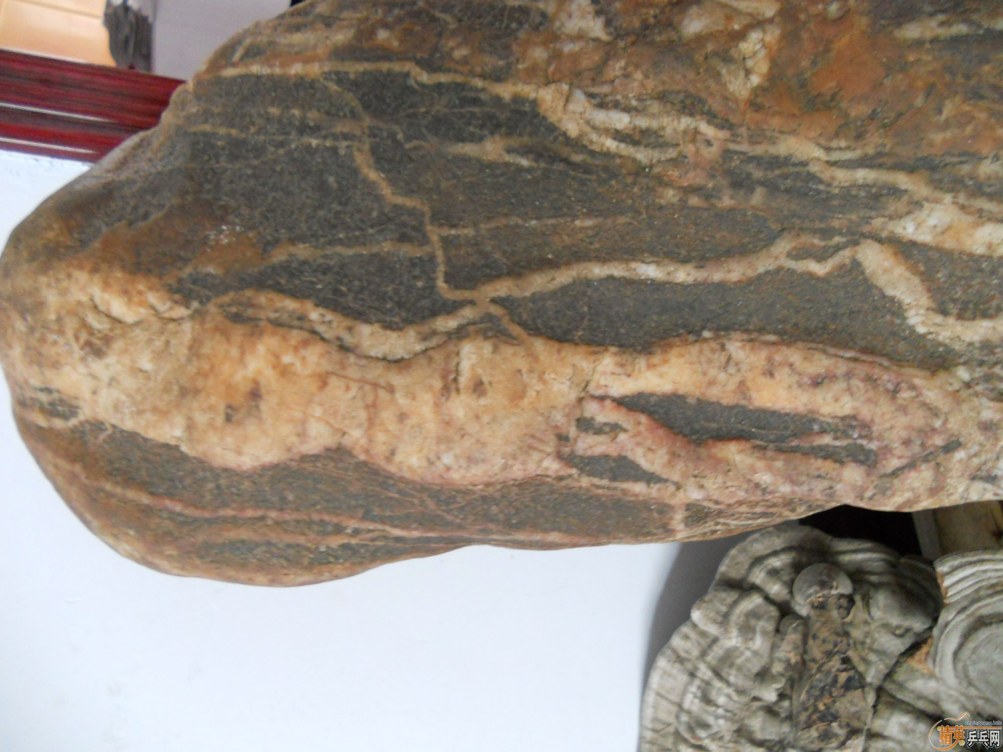 ��YEO�۸�290��EMS