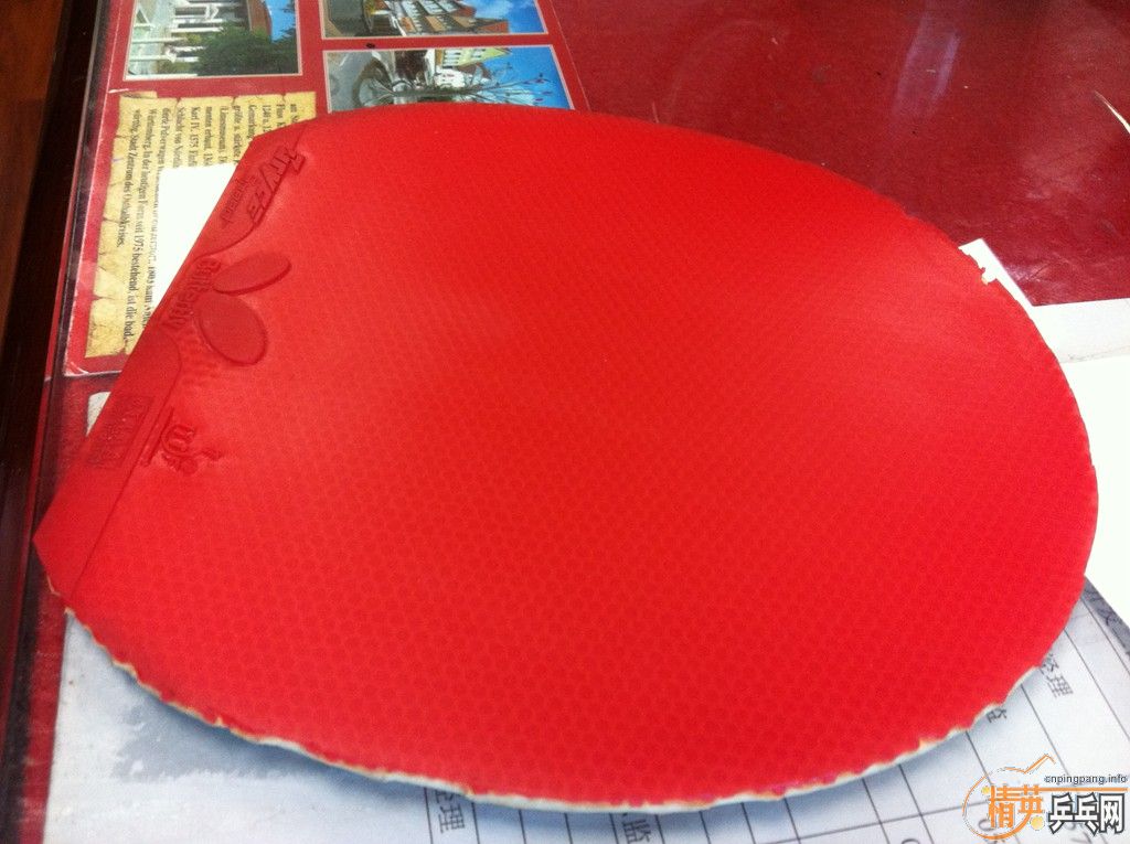 ��������ٶȺ�EL