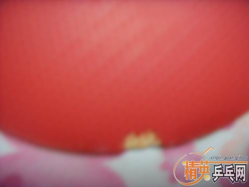 ʮ�־�����ͦ������