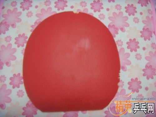 ʮ�־�����ͦ������