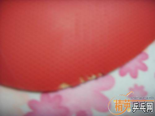 ʮ�־�����ͦ������