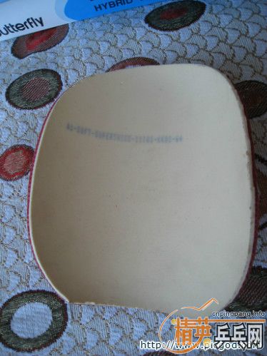 ���Դ�һ�ε�ST����alc��FL����vis����������