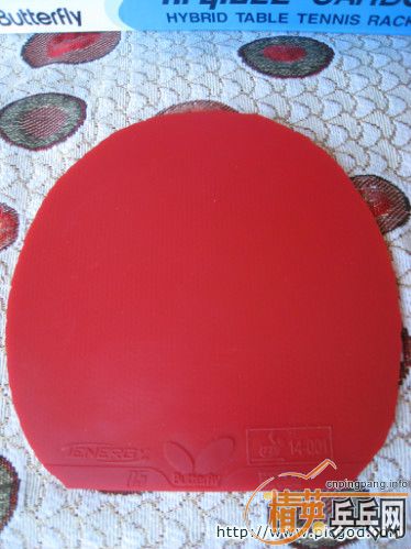 ���Դ�һ�ε�ST����alc��FL����vis����������