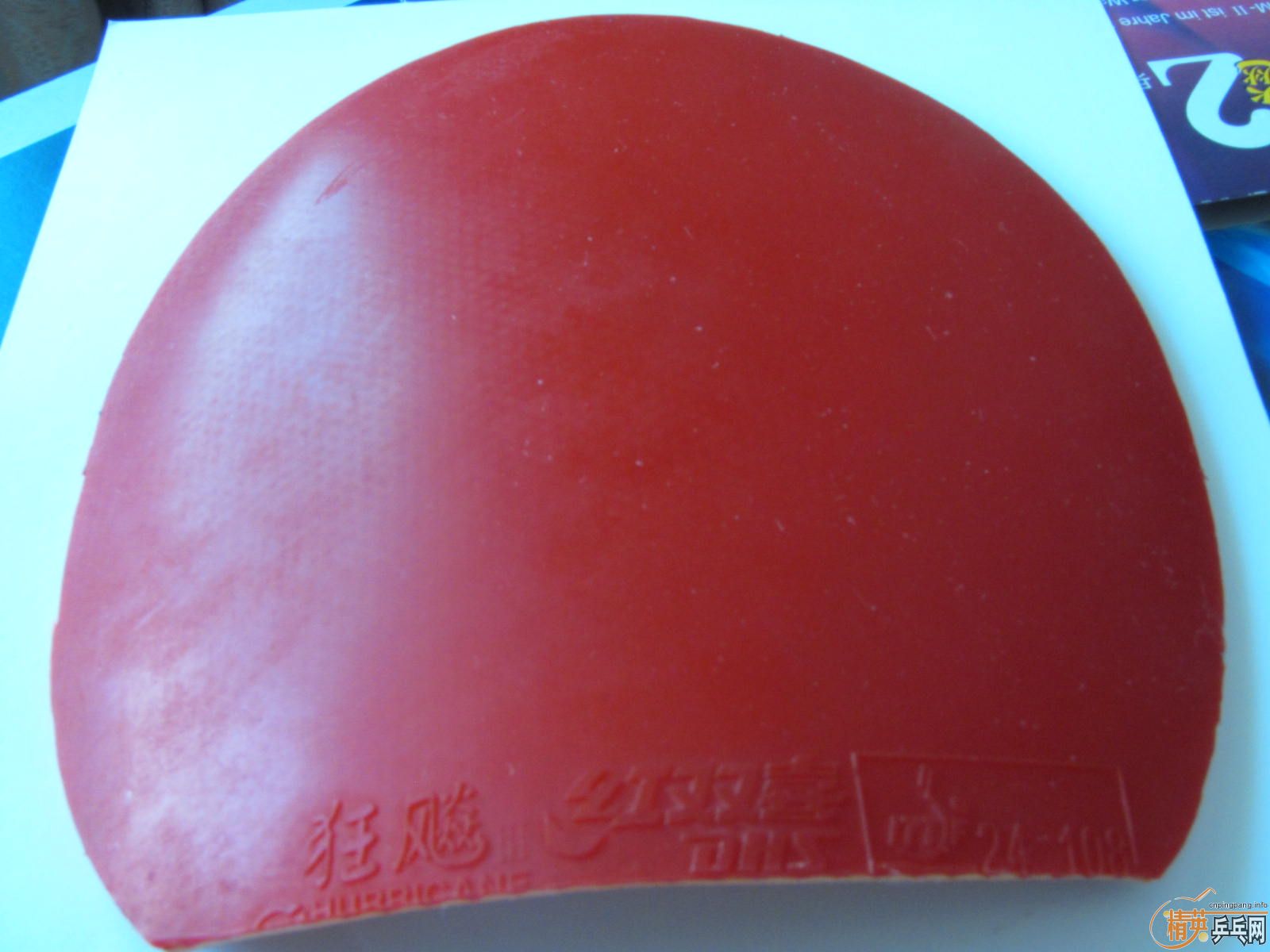 [ԭ��]����ʡ��һ���տ� ����˦