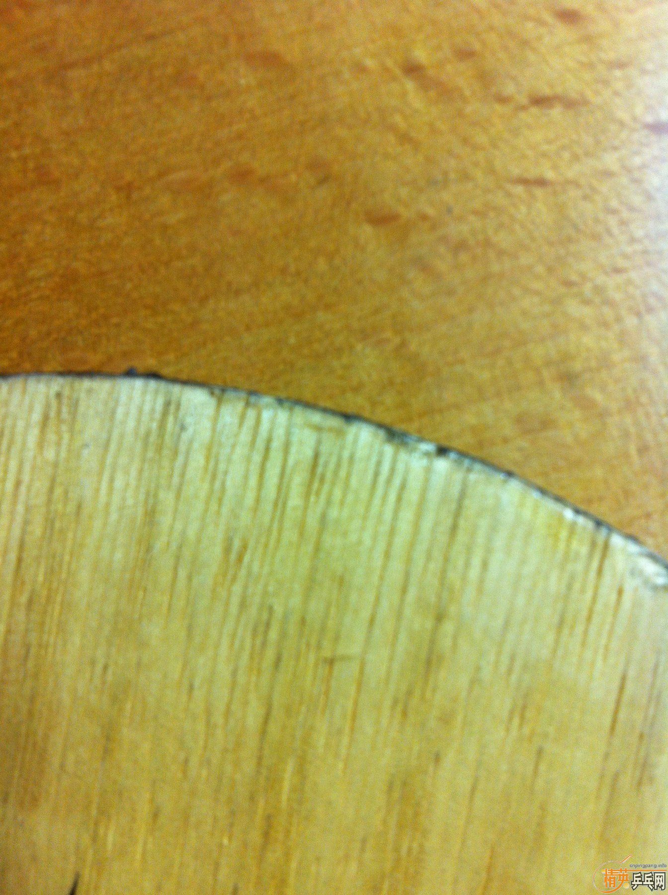 ���հ�YEO,��̼