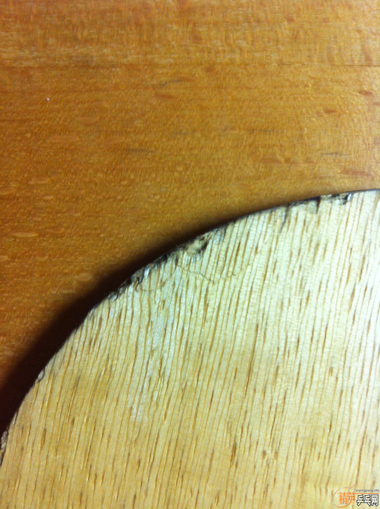 ���հ�YEO,��̼