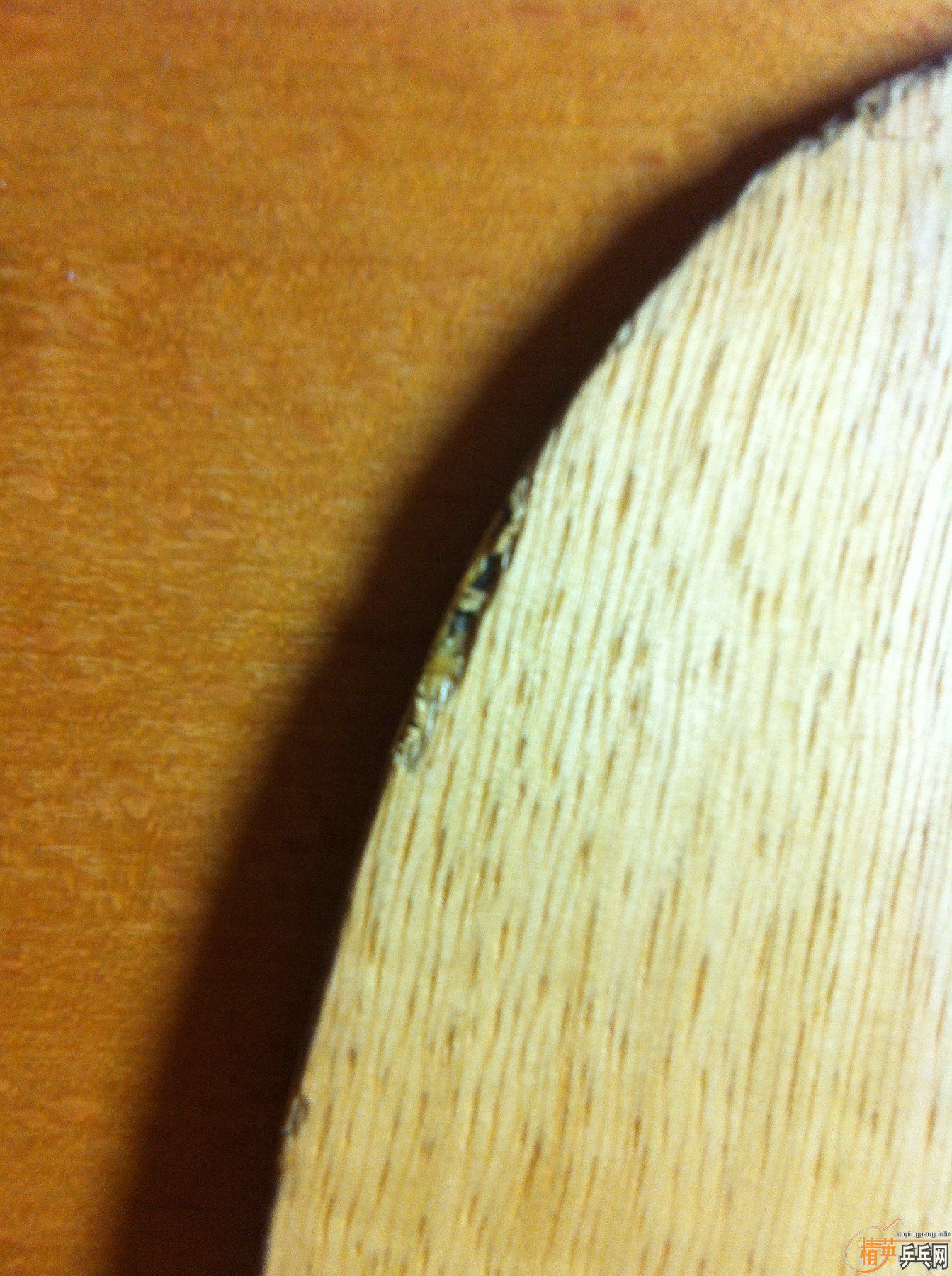 ���հ�YEO,��̼