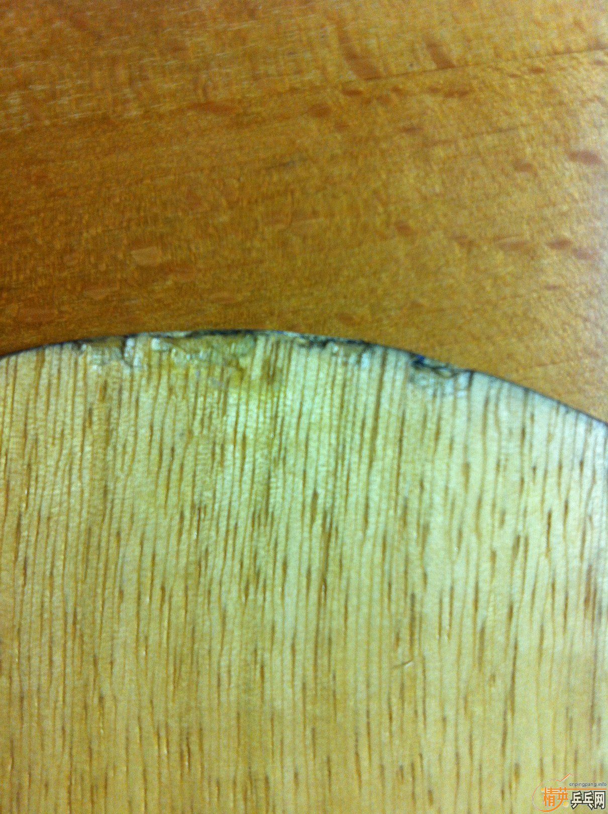 ���հ�YEO,��̼