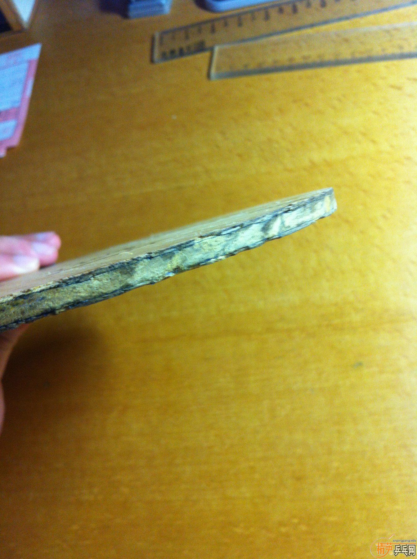 ���հ�YEO,��̼