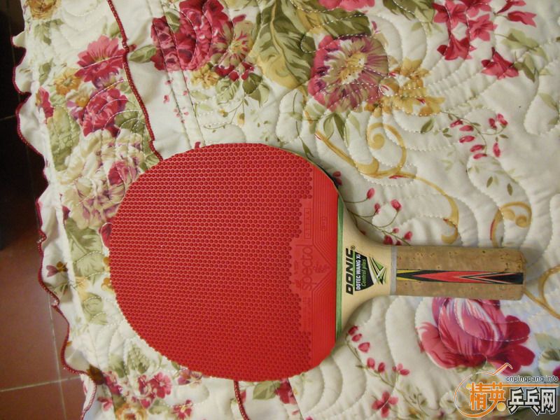 ���Ŀ�����׽�,(LONG II,TSP P1R,������FA,һ���3,�Լ����������.XIOM����˹ħ��ST,DONIC����ST