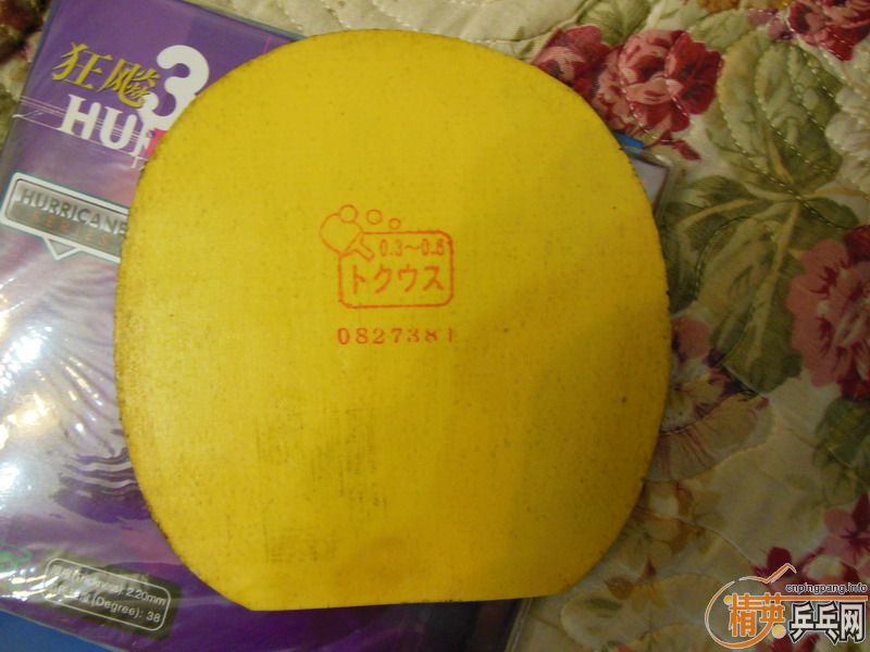 ���Ŀ�����׽�,(LONG II,TSP P1R,������FA,һ���3,�Լ����������.XIOM����˹ħ��ST,DONIC����ST