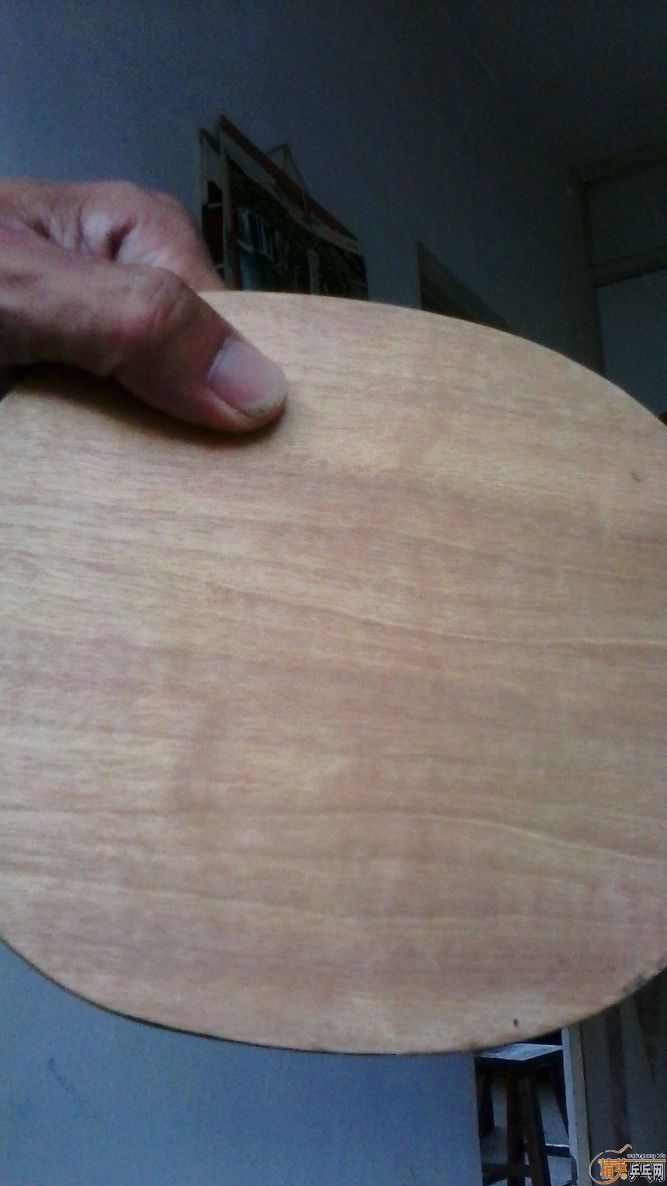 �����  ����̼