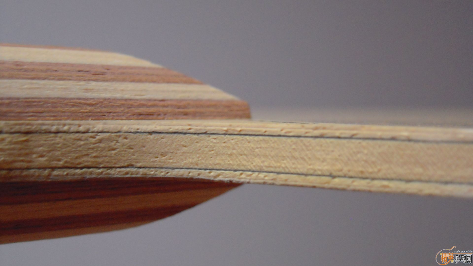 ��������˹�ٿ�ACC��AC��̼����93�ˣ�310���ʣ��������飡