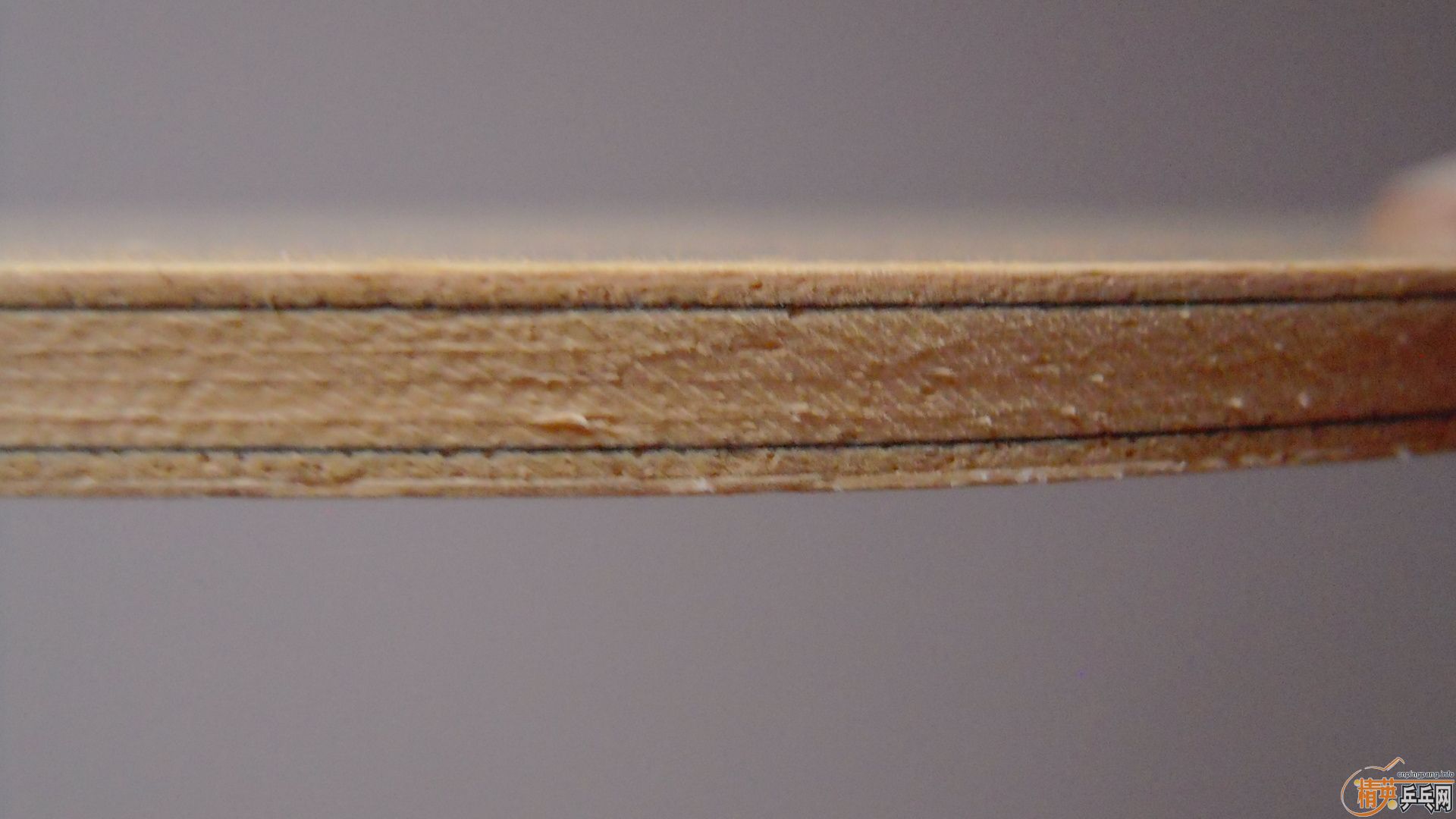 ��������˹�ٿ�ACC��AC��̼����93�ˣ�310���ʣ��������飡