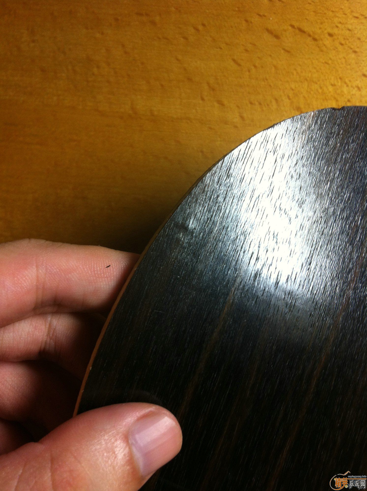 ���հ��̴5�����������������������