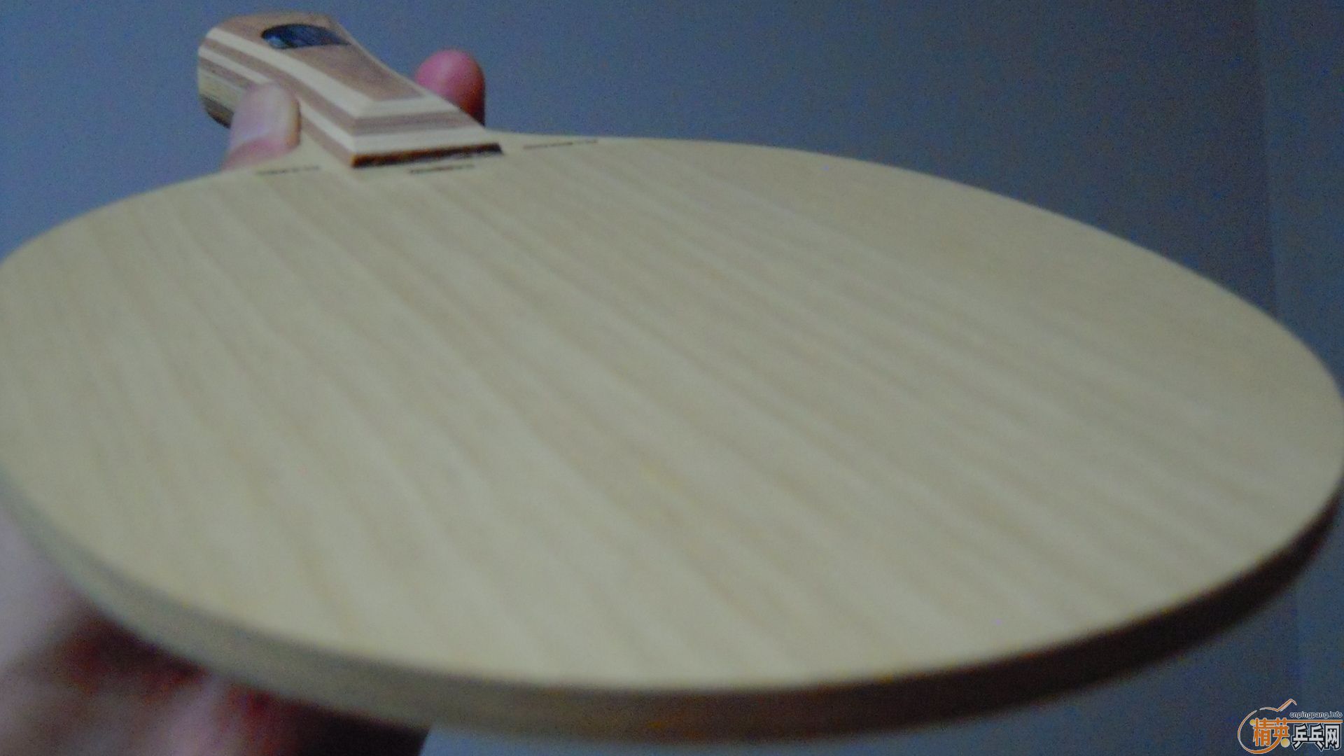 ��������˹�ٿ�ACC��AC��̼����93�ˣ�310���ʣ��������飡