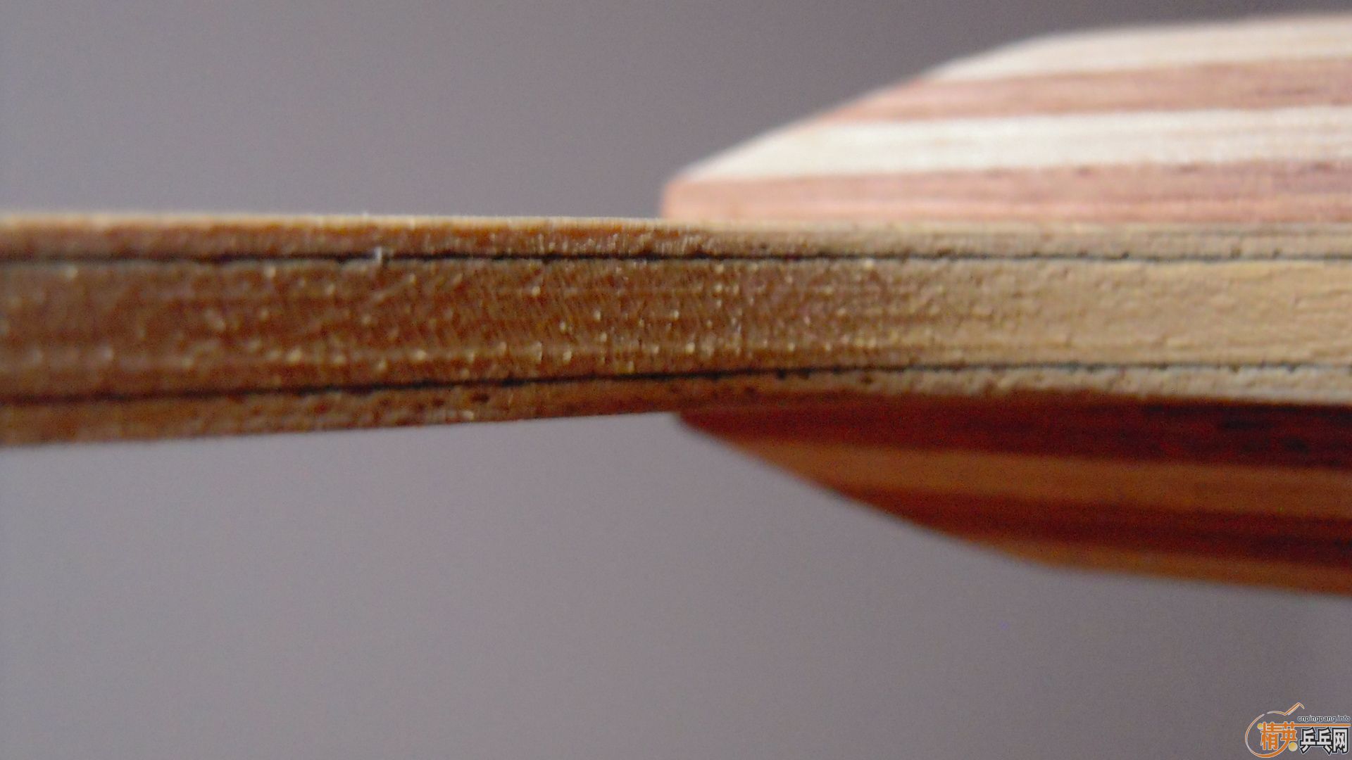 ��������˹�ٿ�ACC��AC��̼����93�ˣ�310���ʣ��������飡