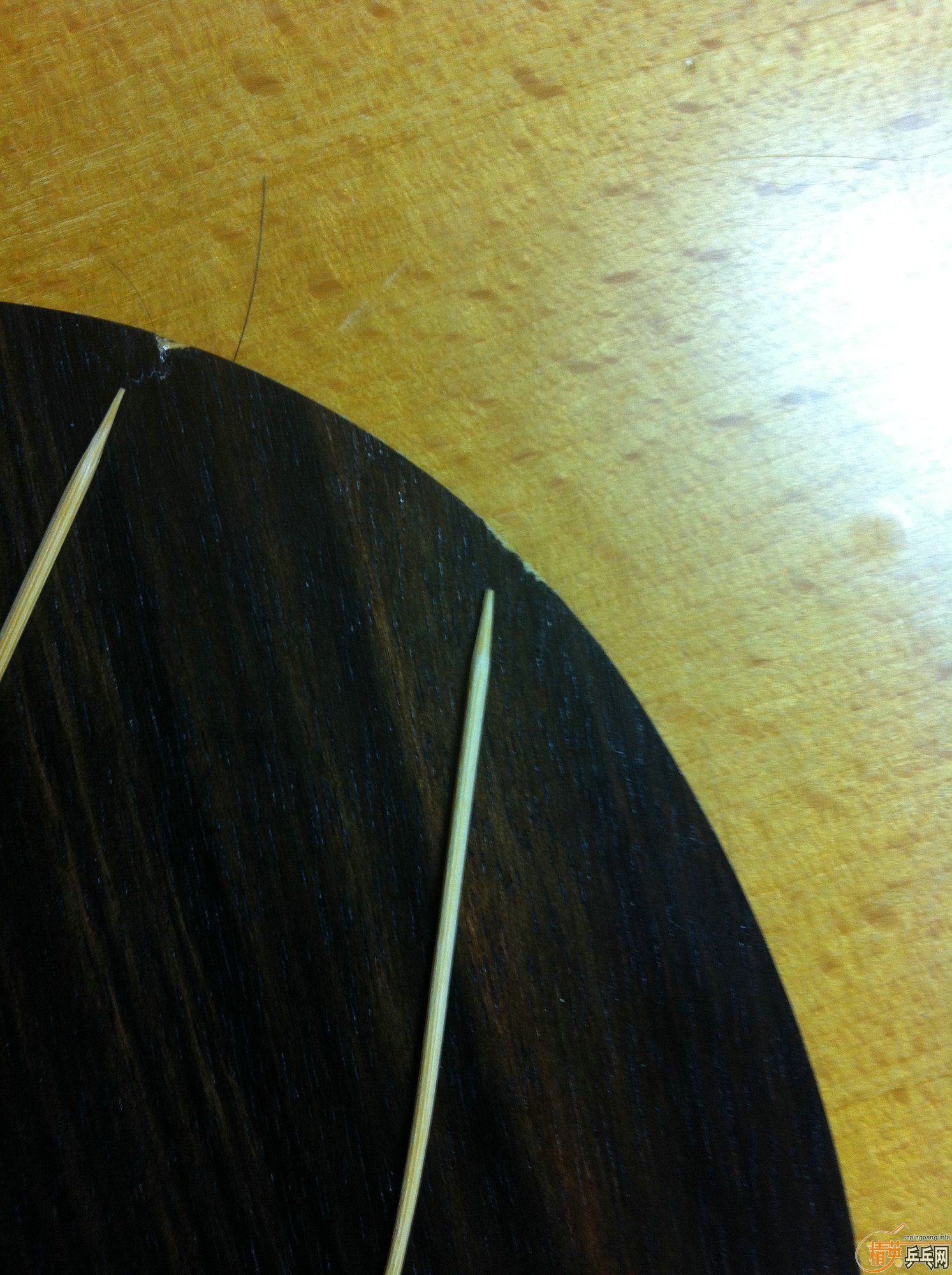 ���հ��̴5�����������������������