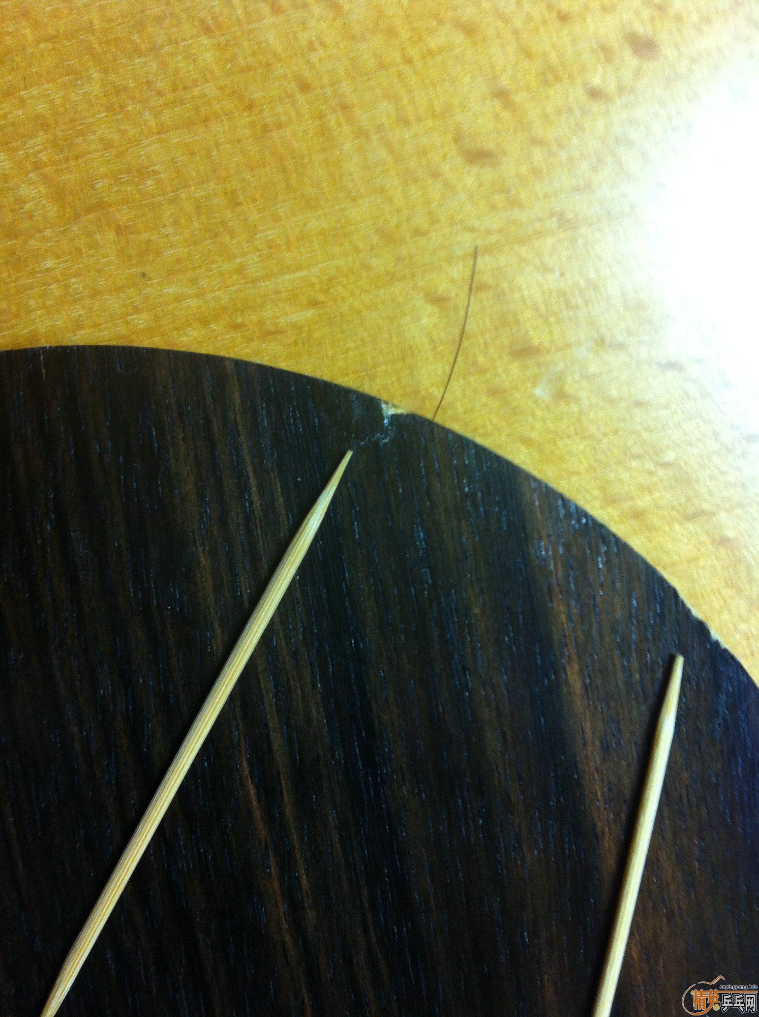 ���հ��̴5�����������������������