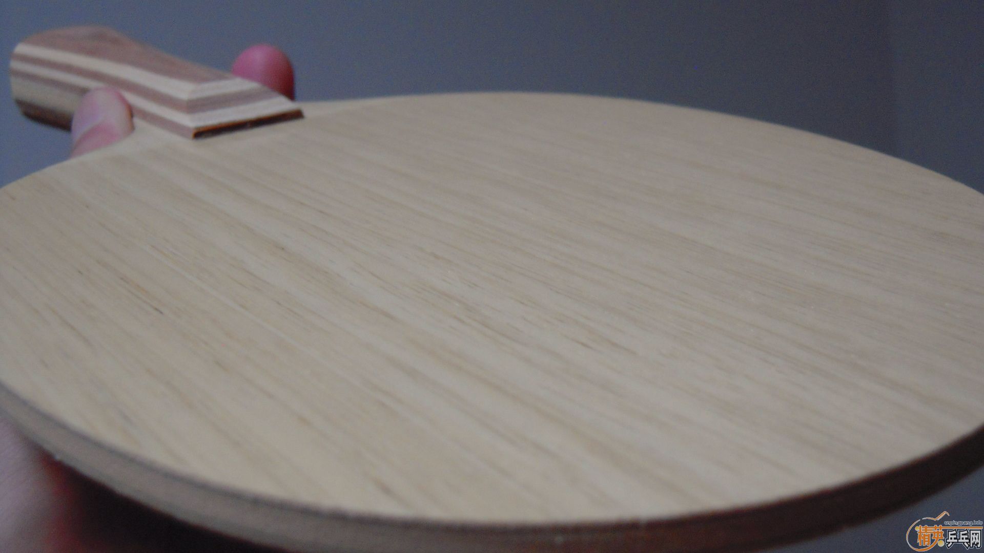 ��������˹�ٿ�ACC��AC��̼����93�ˣ�310���ʣ��������飡