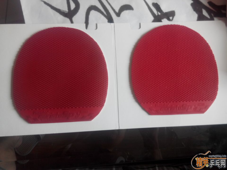 ������ħ��˹�� ��������   ֧��֧��������