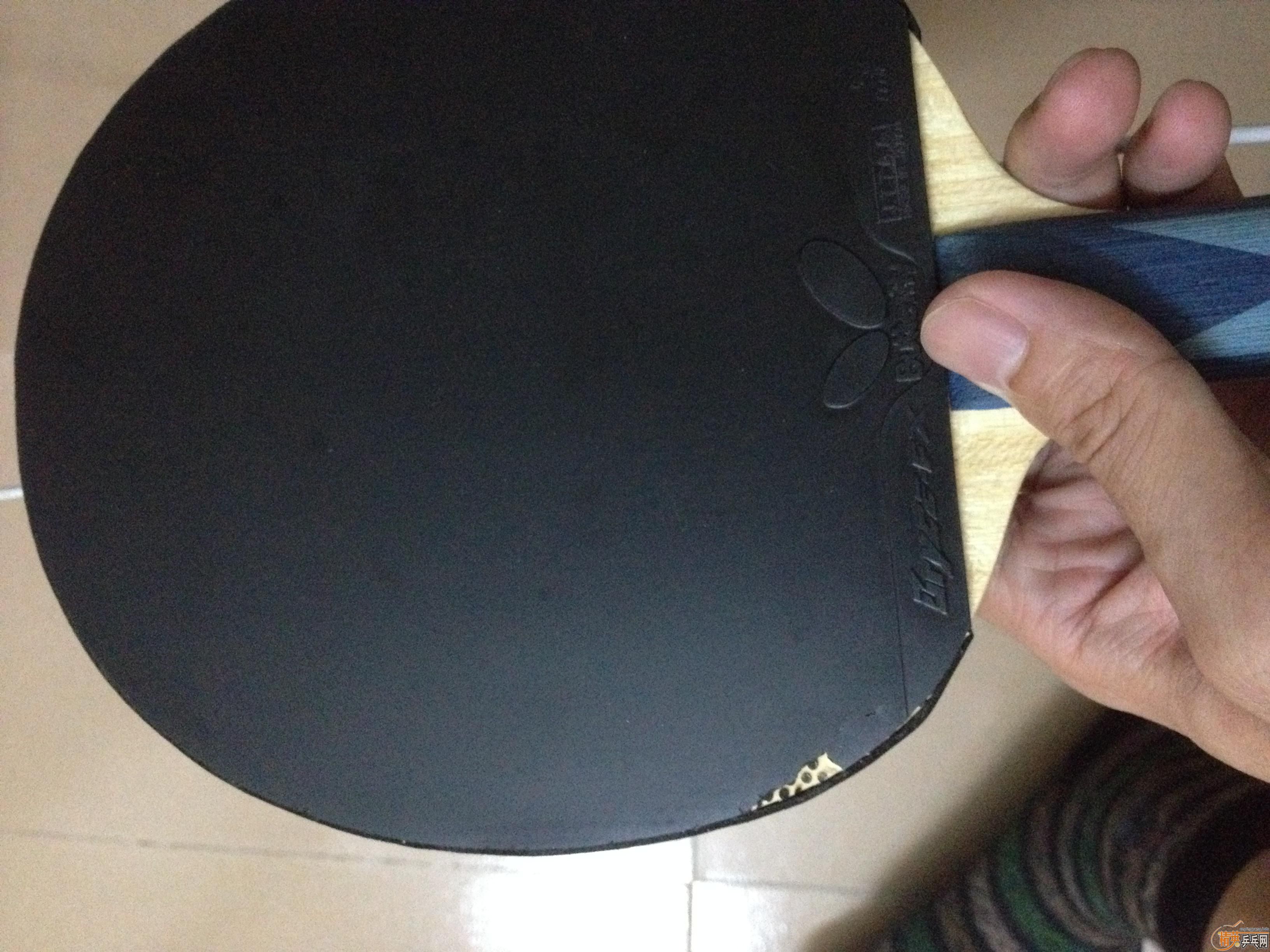 �������齺Ƥ