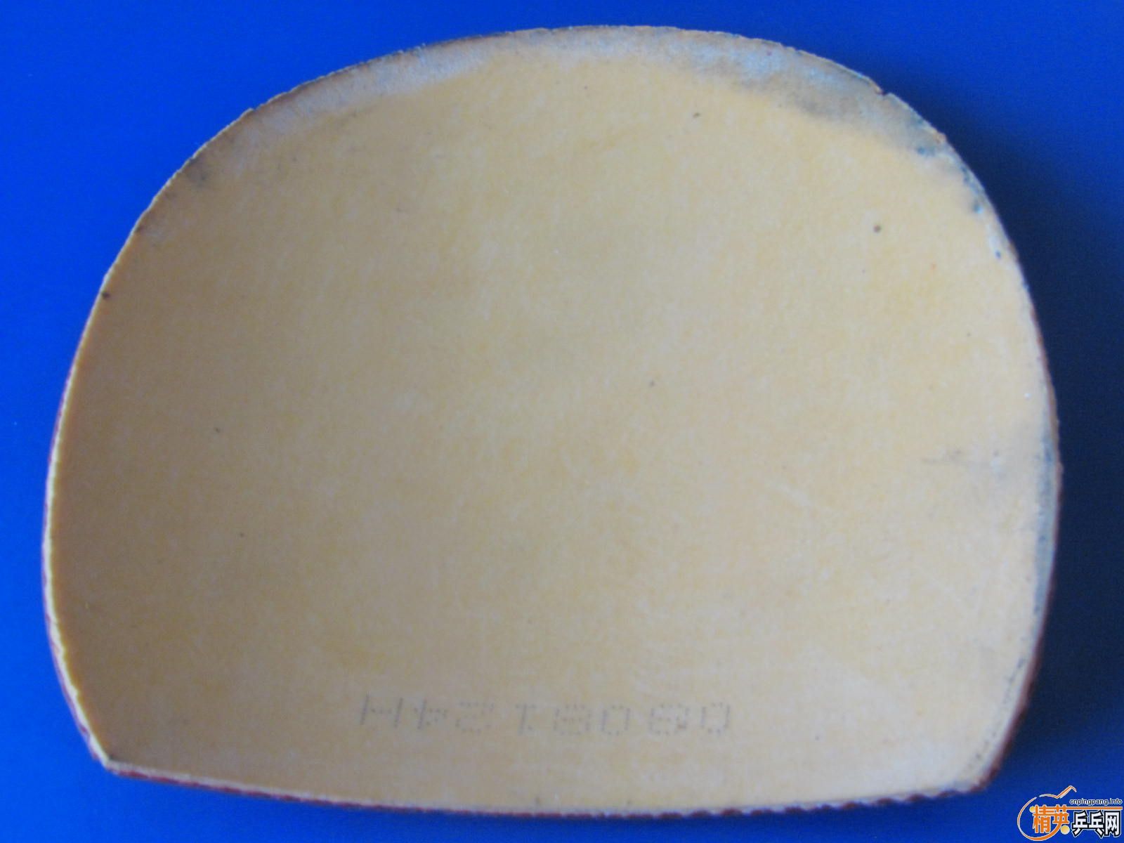 [ת��]�տ�ͼƬ