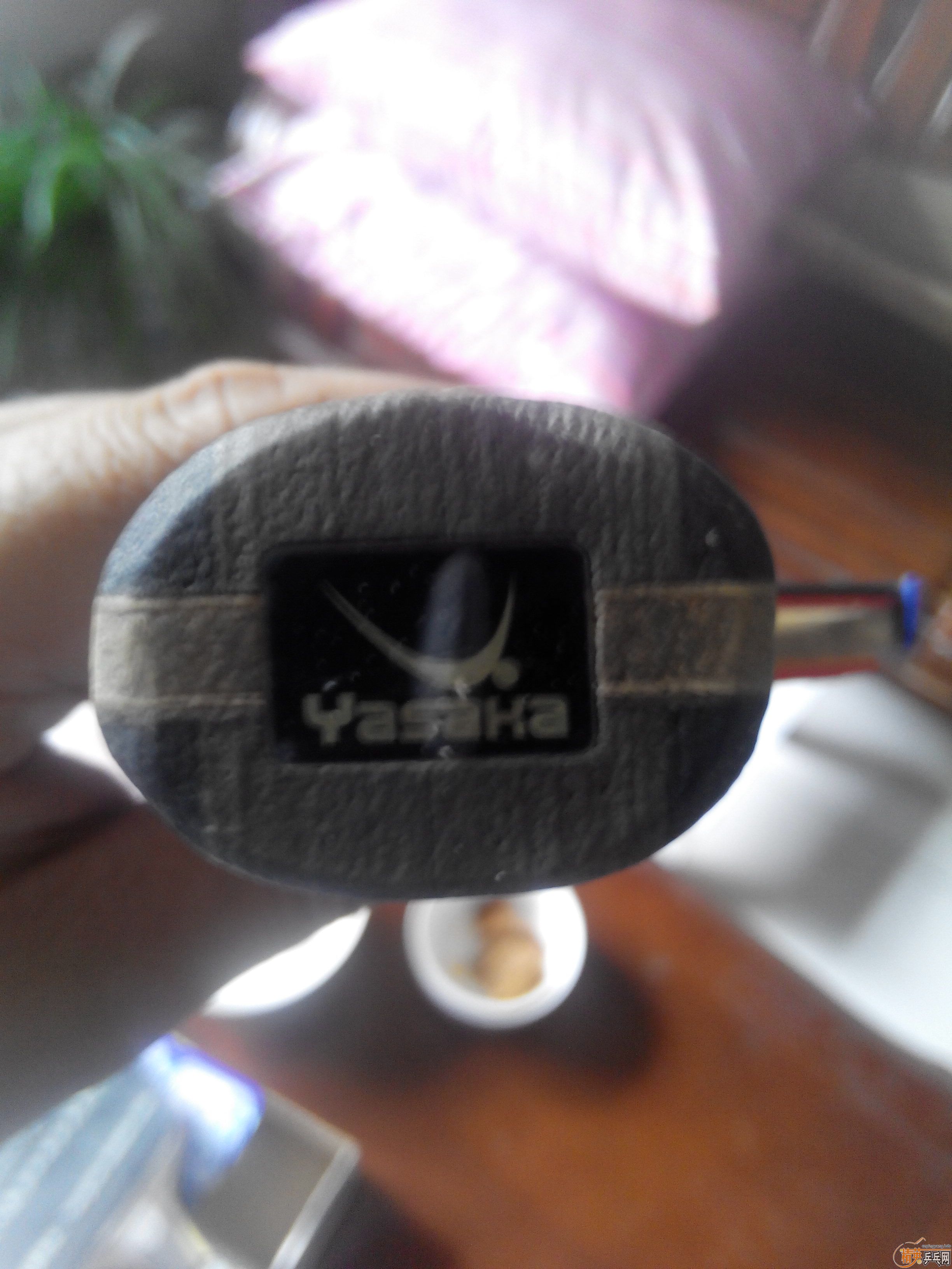 ���л�yeo���������ż�����