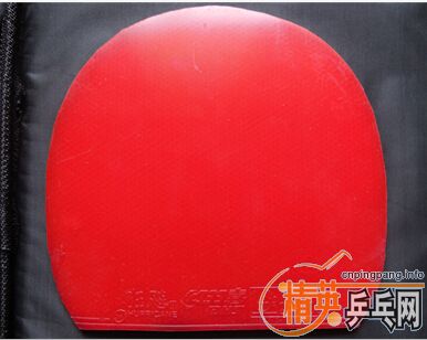 ��_һŵ����39��ʡ��������������3