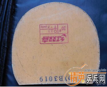 ��_һŵ����39��ʡ��������������3