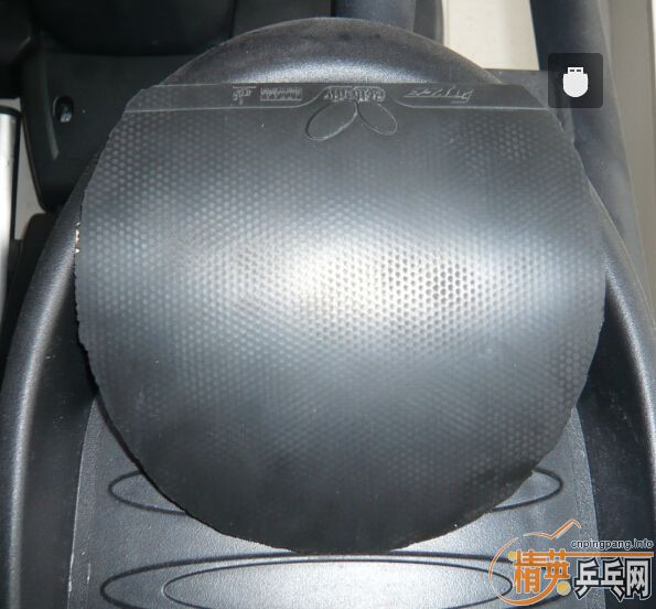 ������׽�