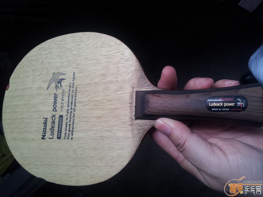 ���˳������