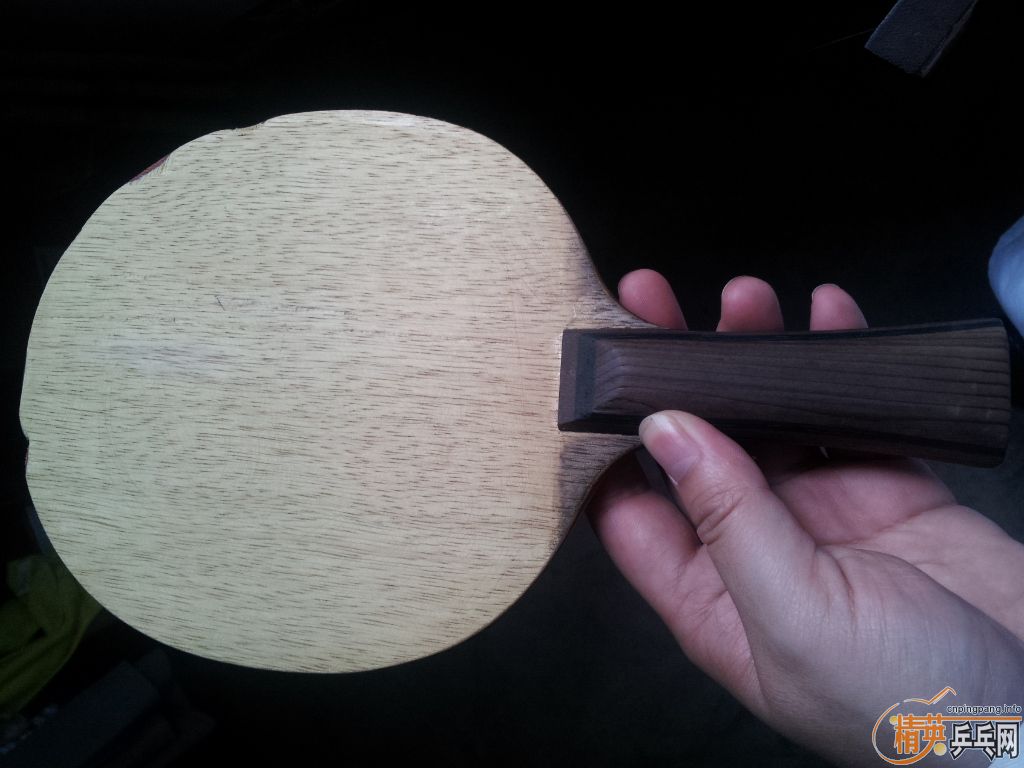 ���˳������