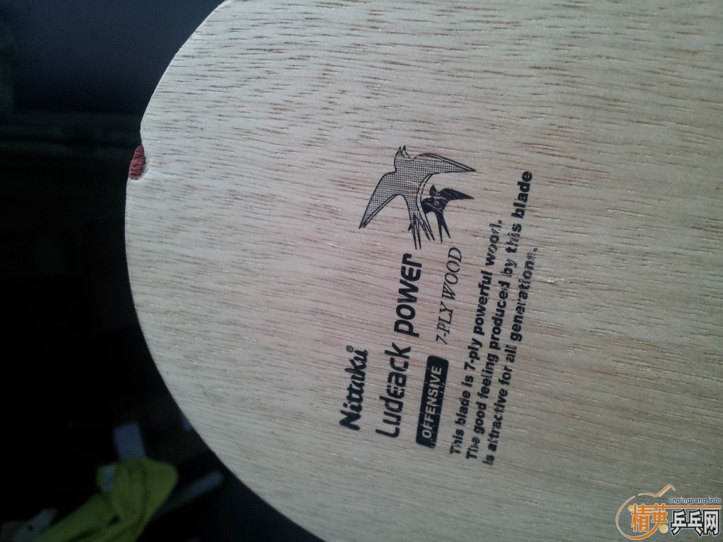 ���˳������