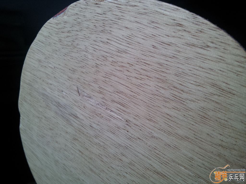 ���˳������