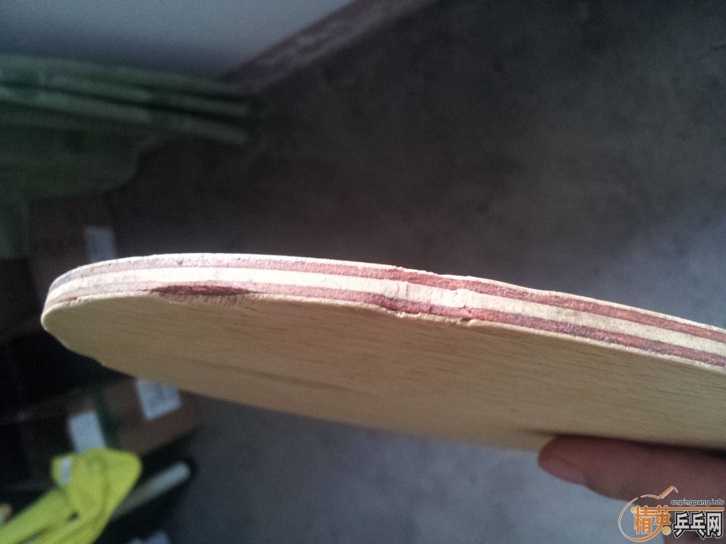 ���˳������