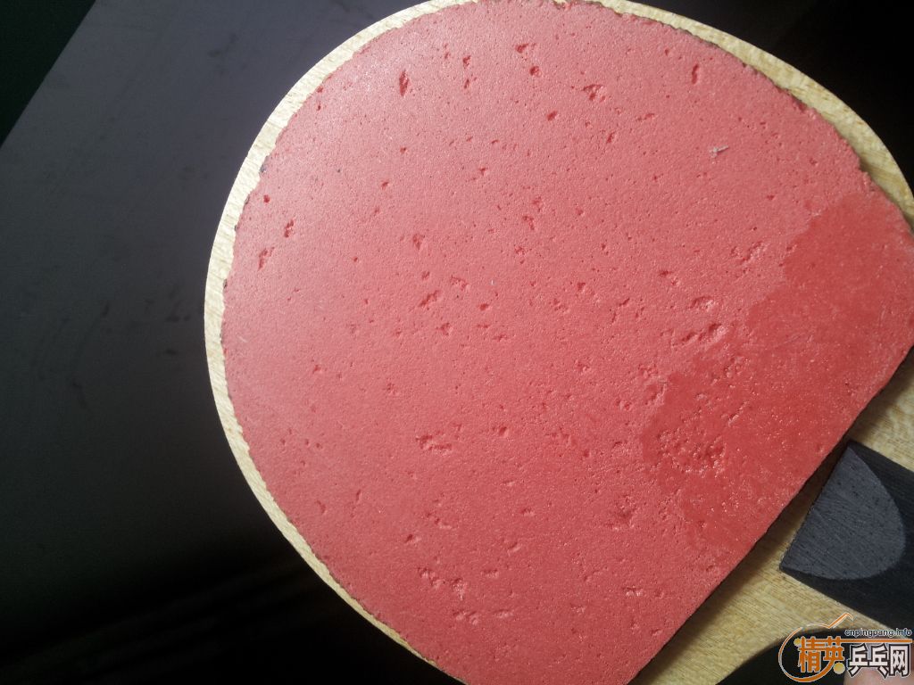 ���˳������