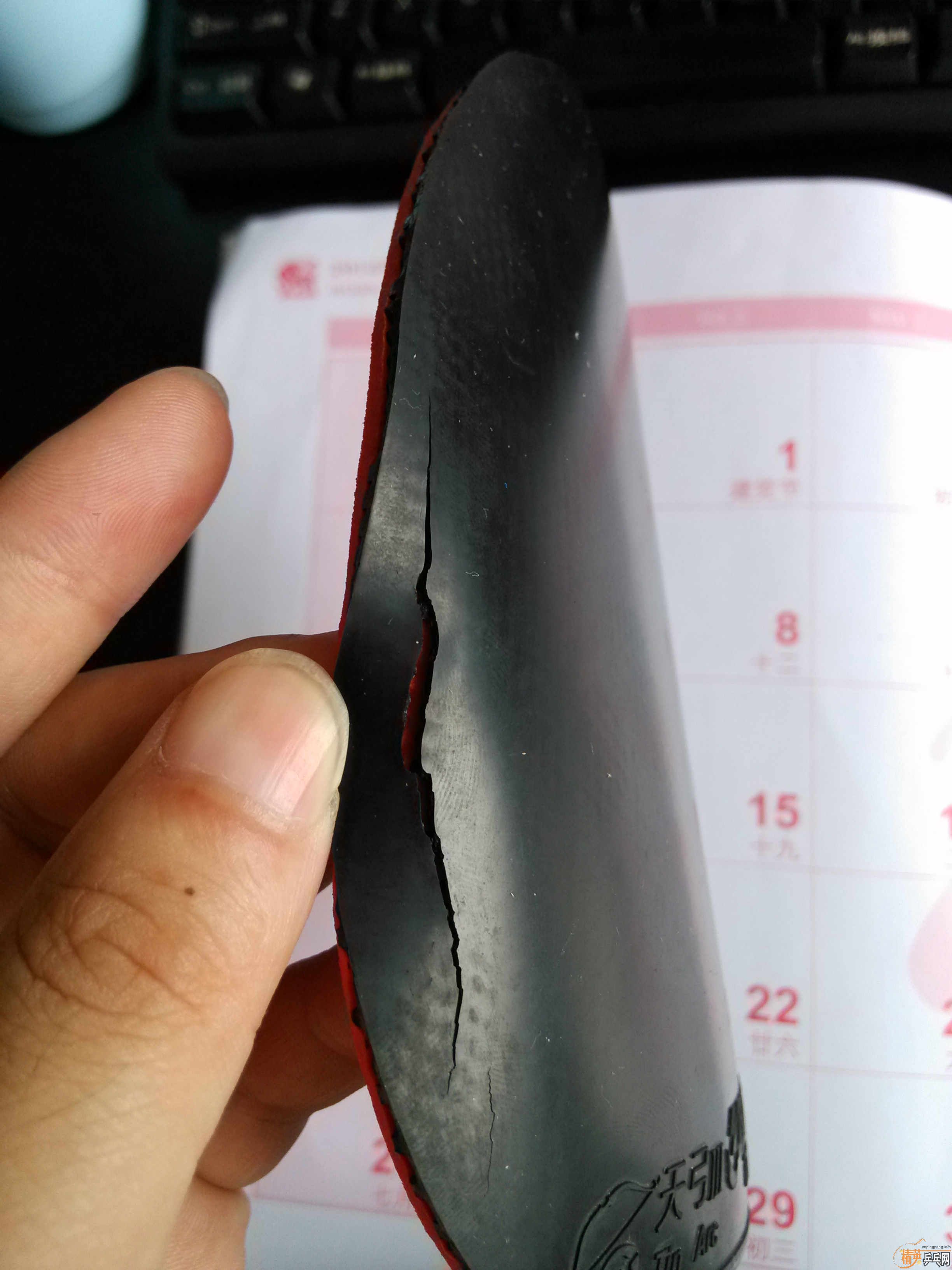 ��һ�ѽ�Ƥ���ǳԣ���t05��ʡ���칭3�����ɵ¡�sriverFX���տ�δ�������t05��t64��