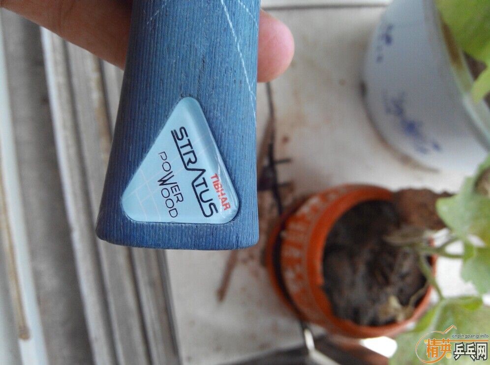 ��ͦ����ľ5