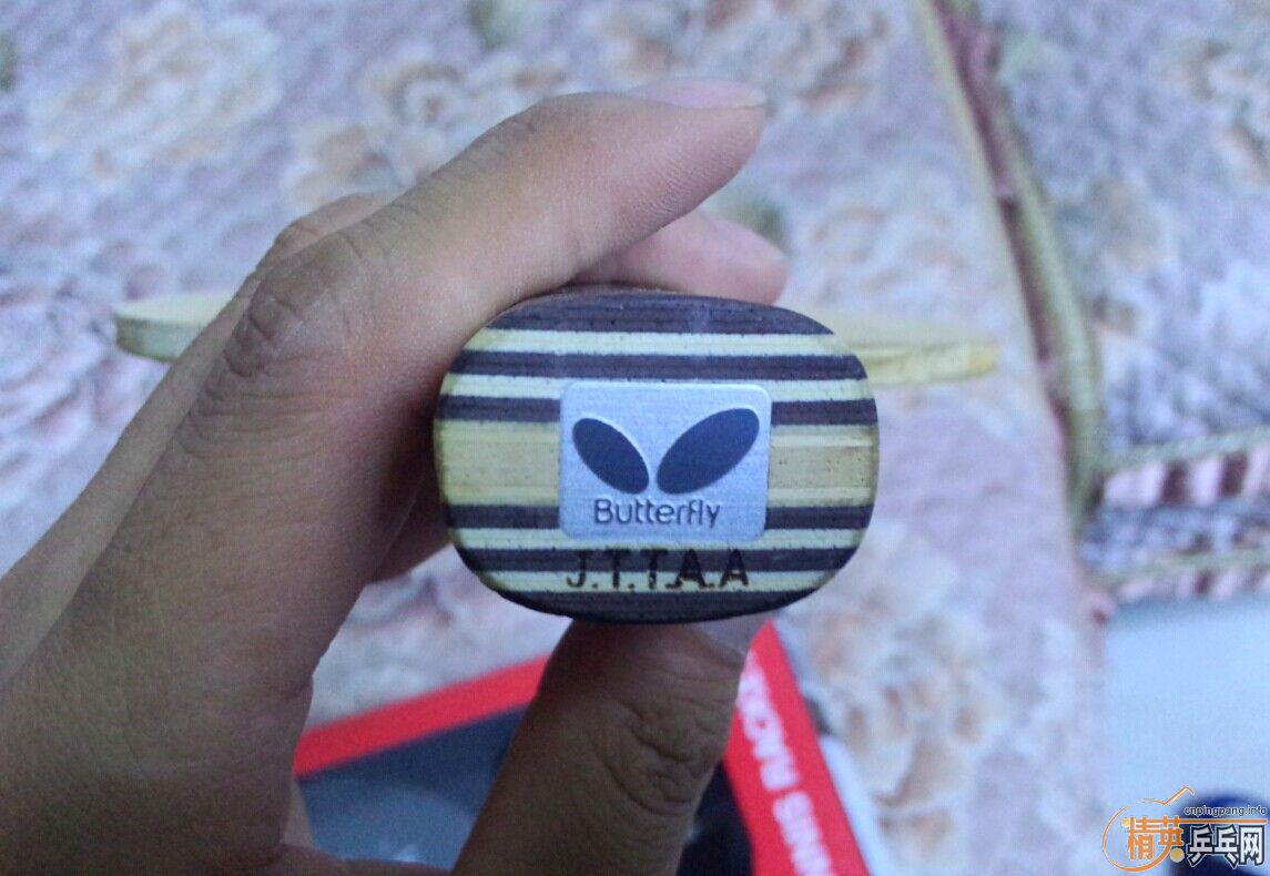 �����Ʊ���