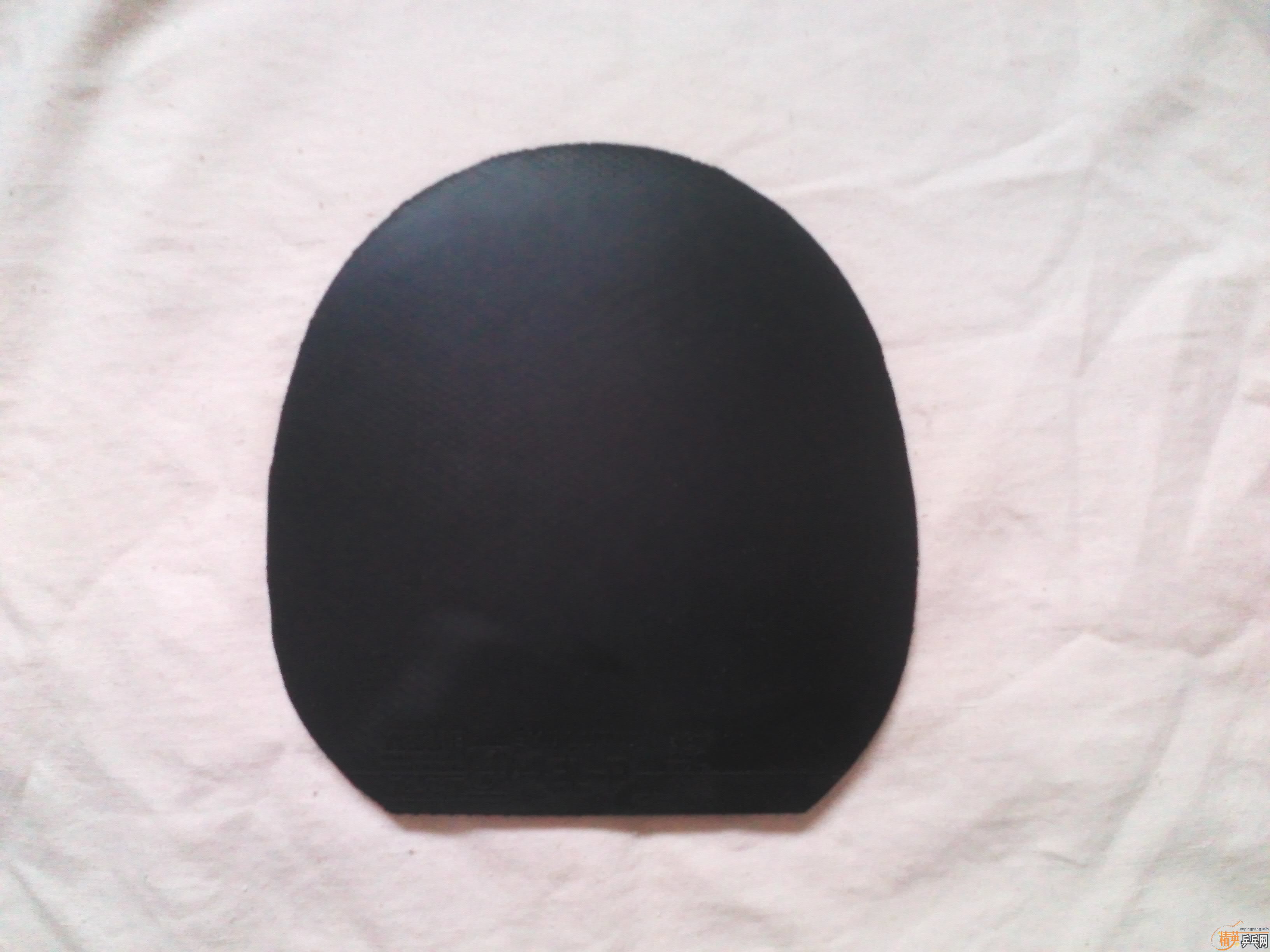 �� ͦ�� ��� ELp    80Ԫ����������alpha �Ϳ�)