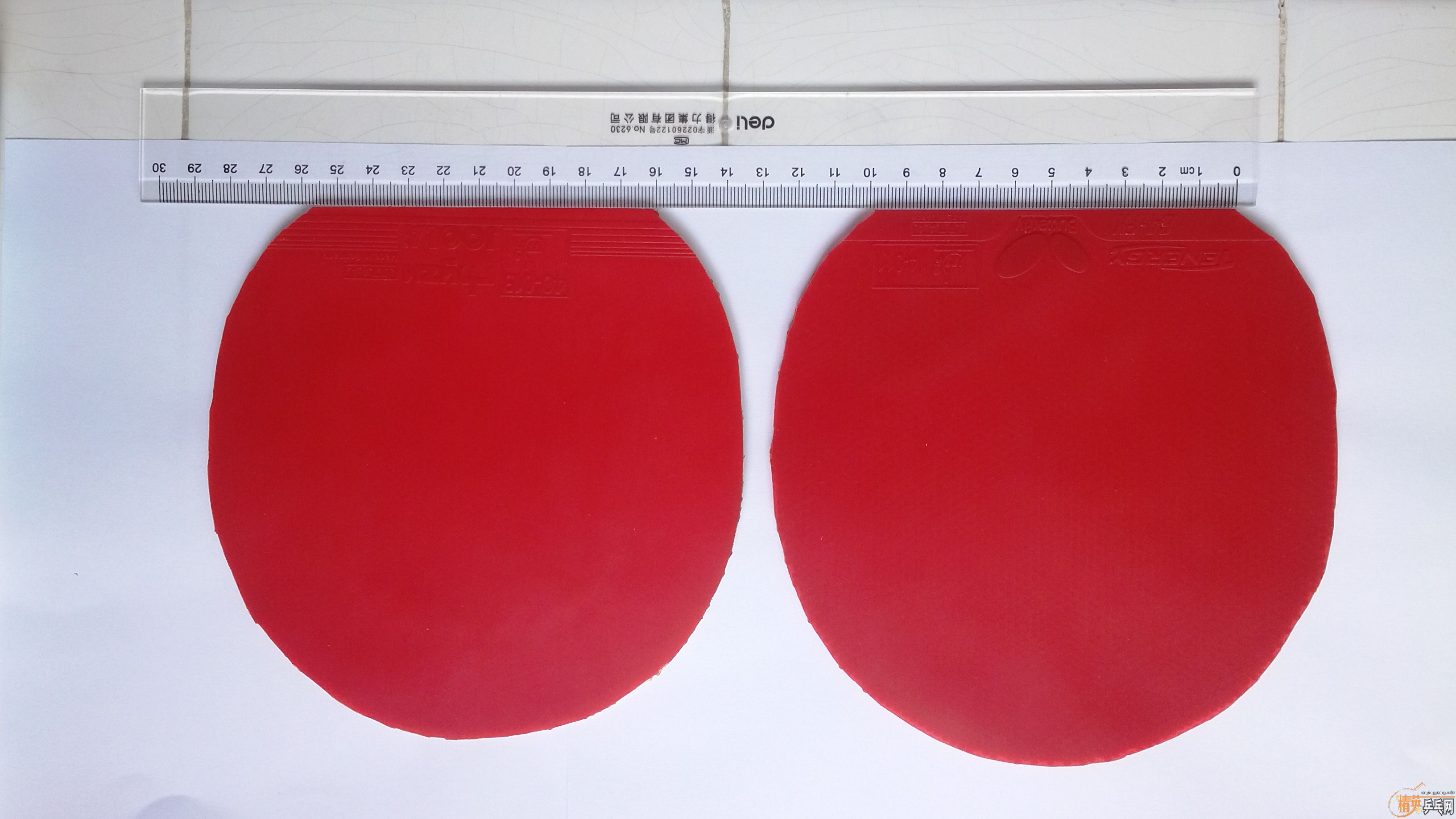 �����ѳ�����ֻ���������εĽ�Ƥ T-64FX  �� ���� �����һ�� ��ɫ�ݺ� �������� ���༸������ �õ��л� �ߴ翴ͼ 64 FX 240���� ����130���� ������QQ472347791